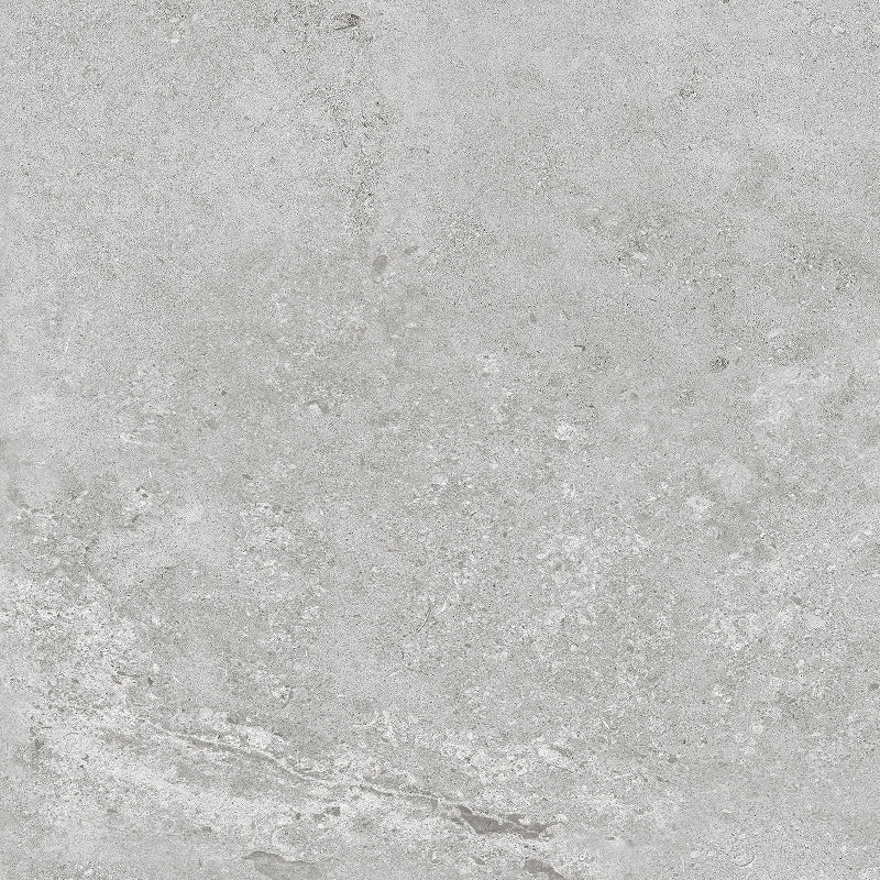 Gris Gloss Rectified 80x80cm - Porcelain tile
