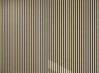 Acoustic Panel
